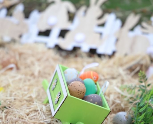 Chasse aux oeufs 2026 003