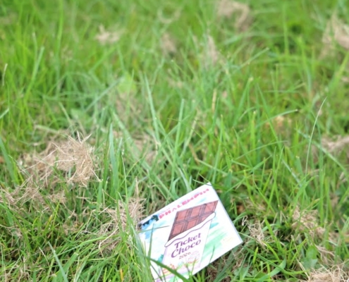 Chasse aux oeufs 2026 010