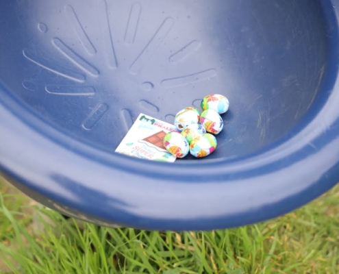 Chasse aux oeufs 2026 015